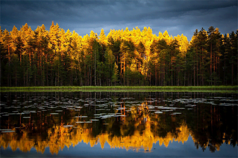 Reflectie Reflectie