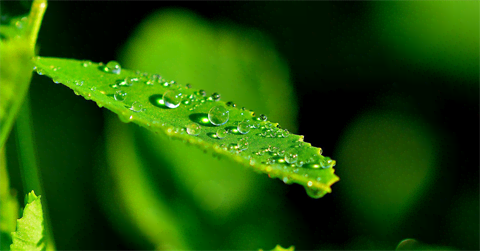 Detailfoto’s Detailfoto’s