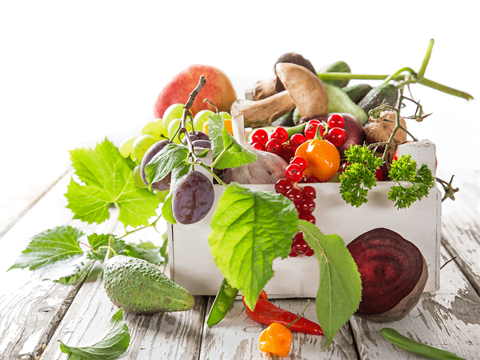 Vitamines Vitamines