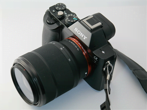 Systeemcamera Systeemcamera