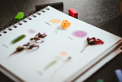 Maak jouw planten en bloemen boek Maak jouw planten en bloemen boek