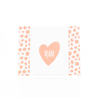 250G 360 foto 250G 360 foto